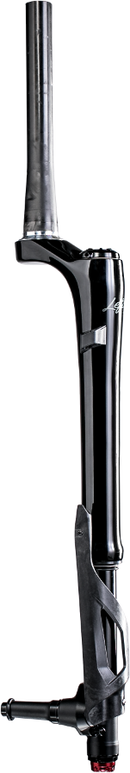 Cannondale | Lefty Ocho Service