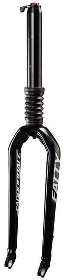 Cannondale | Fatty DLR Service